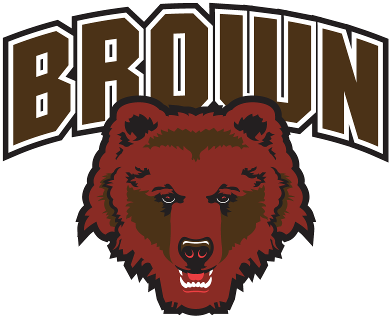 Brown Bears 1997-2002 Secondary Logo DIY iron on transfer (heat transfer)